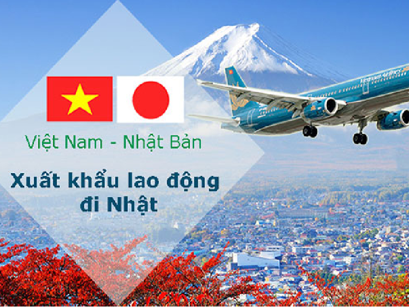 Top 5 đơn hàng hot đầu nửa cuối năm 2025: Lương tốt – Xuất cảnh nhanh